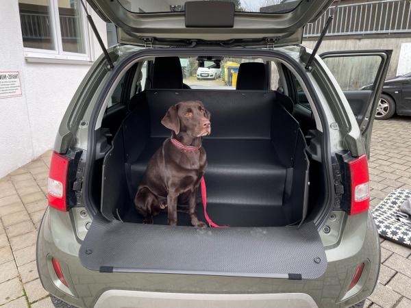 Mit diesem Kleintransporter können Sie mehrere Hunde und Gegenstände transportieren